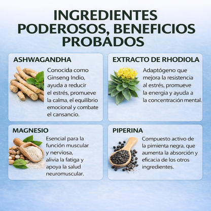 ASHAFUEL Ashwagandha – Estrés & Equilibrio Mental