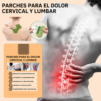 Parches HerbalFlex